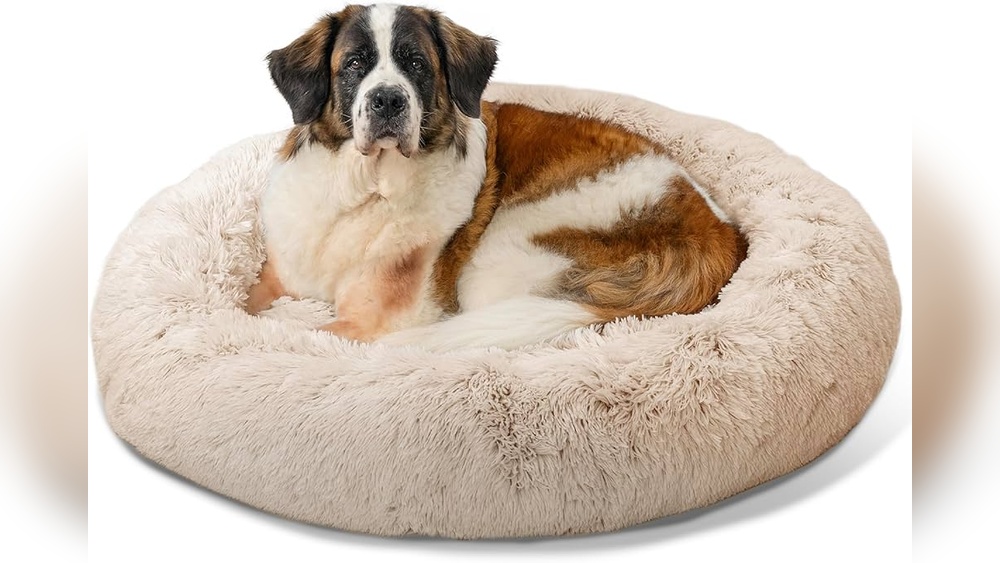 Curated visual reference: Calming Anxious Cats With Bedding Preparation Reference: Best Calming Cat Bed For Anxiety Ultimate Comfort Relief Guide