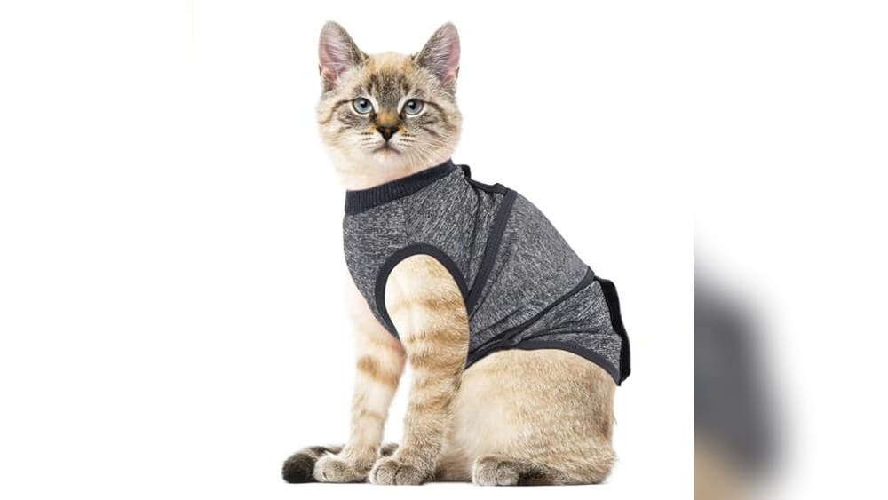 Fresh Look at Best Calming Vest For Anxious Cats Top Stress Relief Wraps