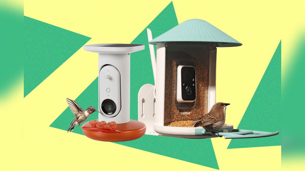 Best Camera For Watching Bird Feeders Top Picks