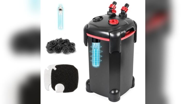 Best Canister Filter for Cichlid Aggression: Top Quiet Aquarium Solutions