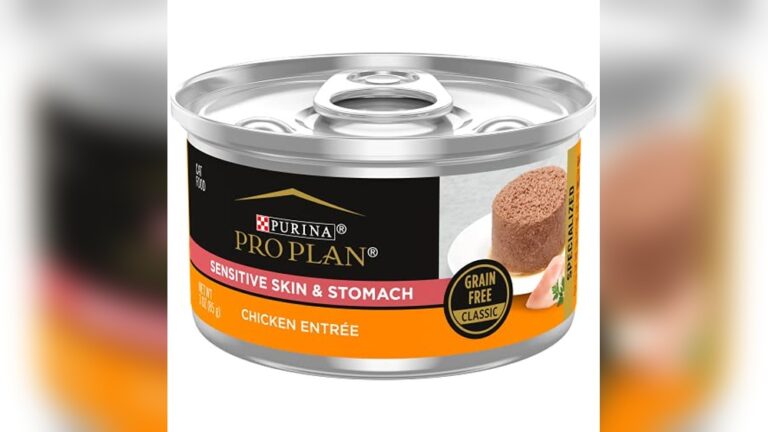 Best Canned Cat Food for Sensitive Stomach: Top Gentle Choices