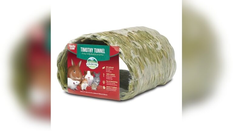 Best Cardboard Chew Toys for Guinea Pigs to Keep Them Happy