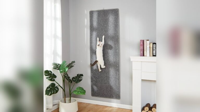Best Carpeted Cat Scratching Post: Top Durable Picks for Cats