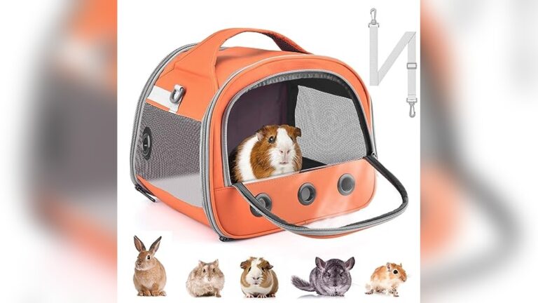 Best Carrier for Chinchillas (Vented) for Safe and Comfortable Travel