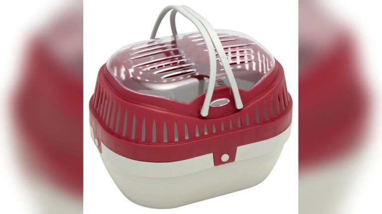 Best Carrier for Degus: Top Travel Solutions for Small Pets