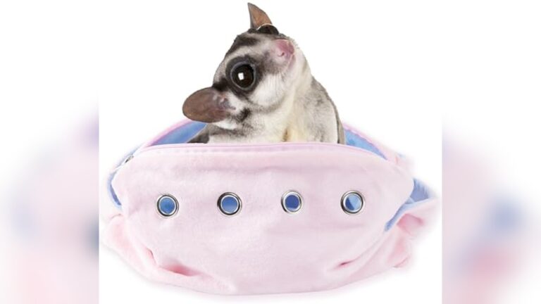 Best Carrier for Hamsters (Escape-Proof) for Safe and Easy Travel