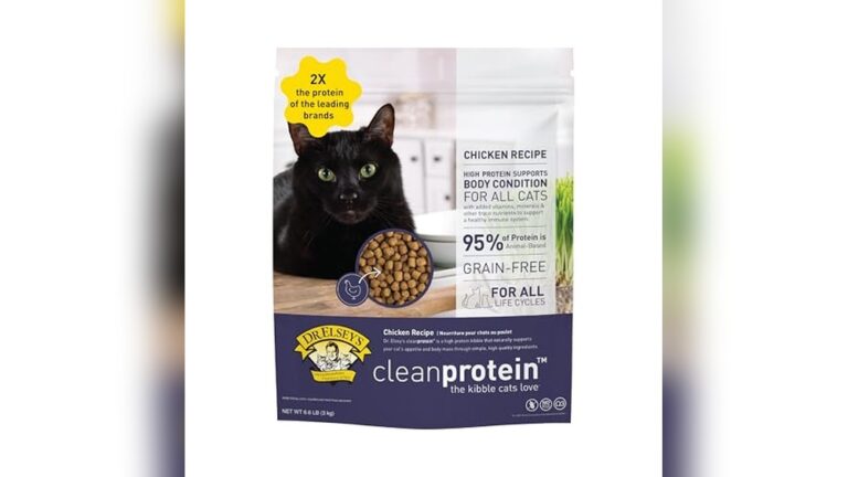 Best Cat Food for Diabetes: Top Vet-Recommended Choices for Cats