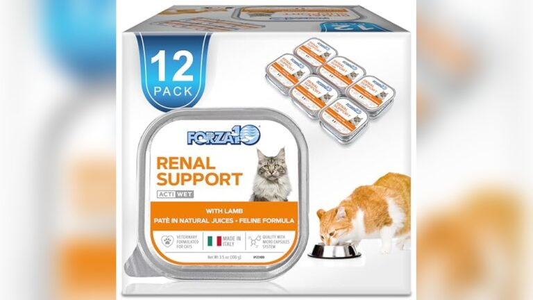 Best Cat Food for Kidney Disease: Top Vet-Recommended Renal Support Choices