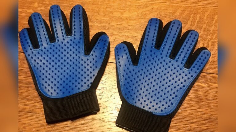Best Cat Grooming Glove: Ultimate Comfort for Your Feline Friend