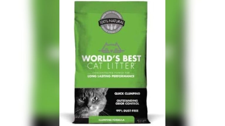 Best Cat Litter for Odor Control: Top Picks for Fresh Homes