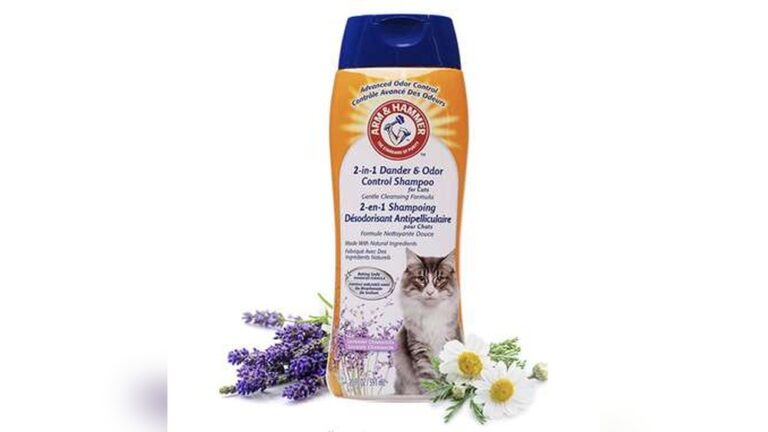 Best Cat Shampoo for Dandruff: Top Picks for a Healthy Coat