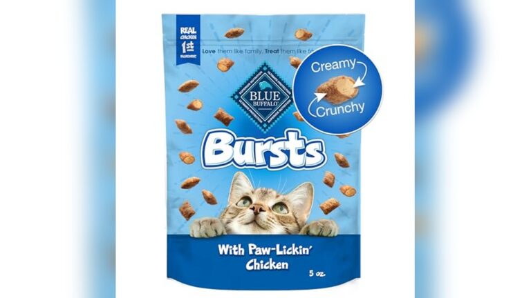 Best Cat Treats for Training: Top Tasty and Healthy Picks