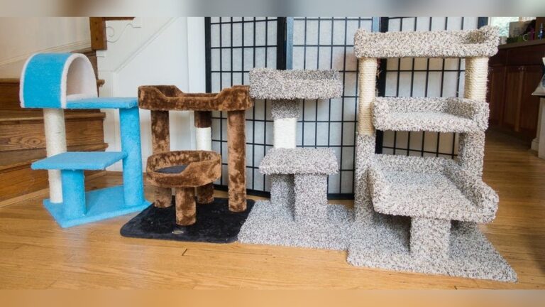 Best Cat Tree for Small Apartments: Top Compact Picks for Cats
