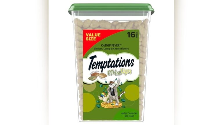 Best Catnip Treats for Cats: Top Crunchy and Soft Flavors Reviewed