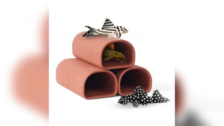 Best Caves for Plecos: Top Hideouts to Enhance Your Aquarium Decor