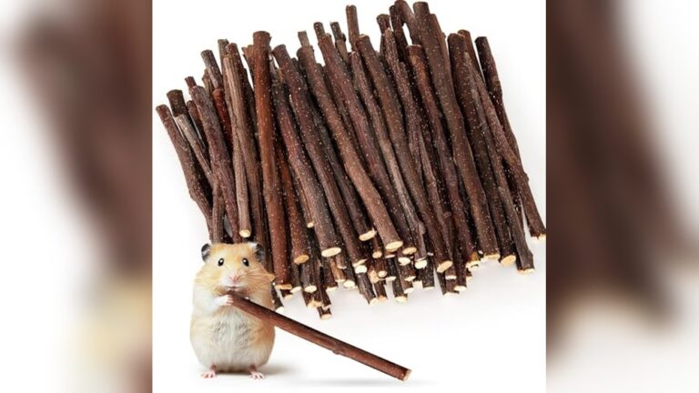 Best Chew Sticks for Mice: Top Natural Treats for Small Pets