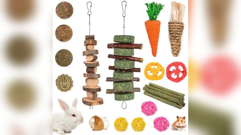Best Chew Toys for Chinchillas to Keep Teeth Healthy and Strong