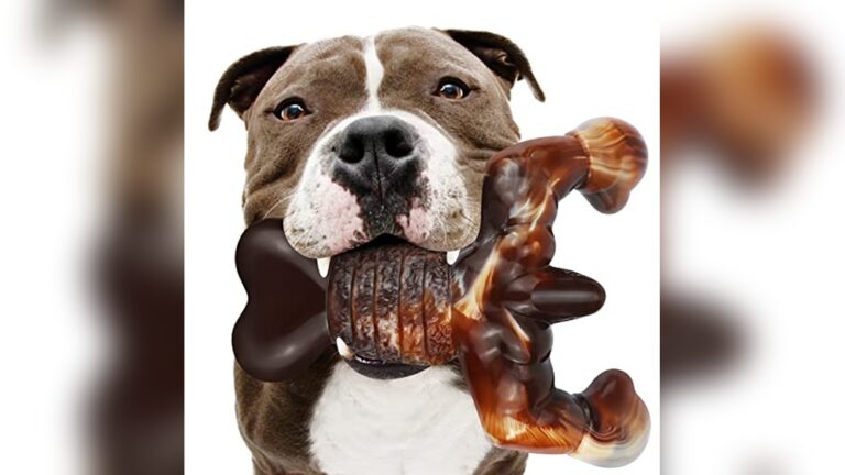Best Chew Toys for Heavy Chewers (Willow) to Keep Dogs Busy