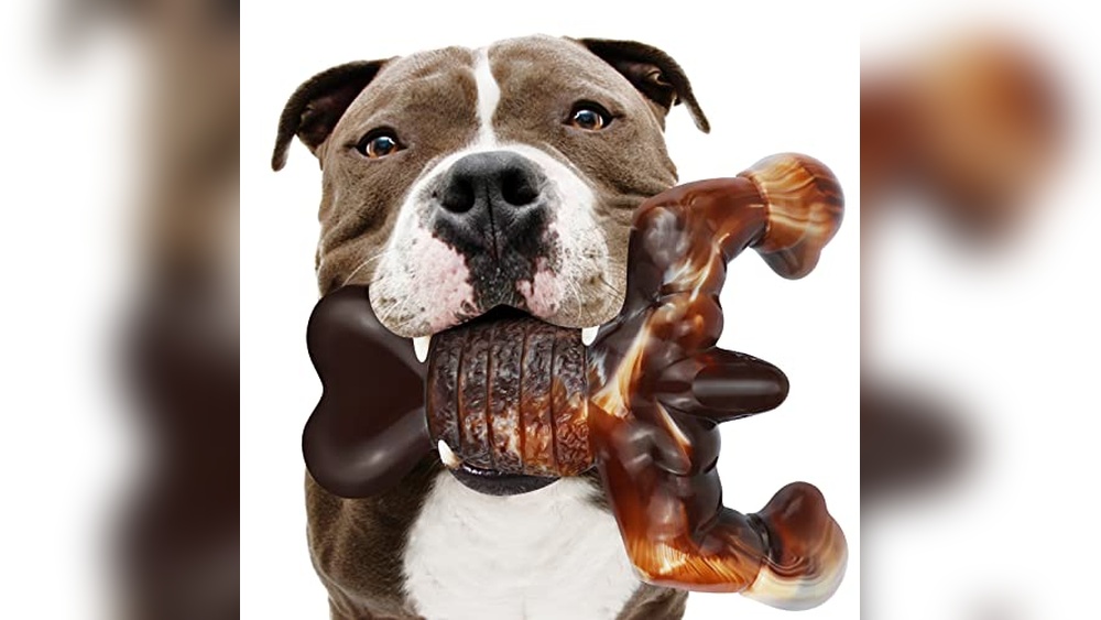 Best Chew Toys for Heavy Chewers (Willow) to Keep Dogs Busy