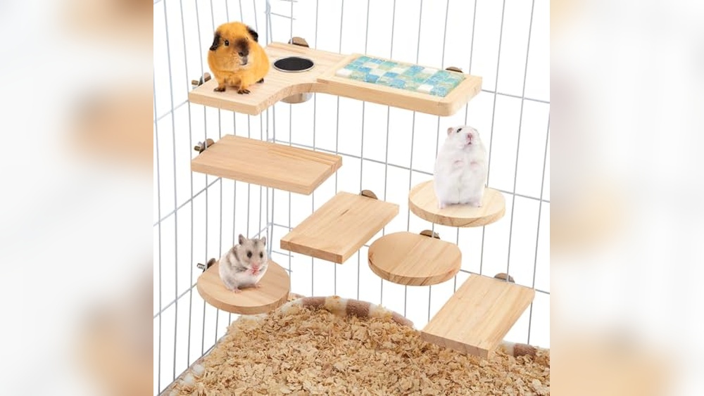 Best Chinchilla Cage With Ledges for Ultimate Small Pet Comfort