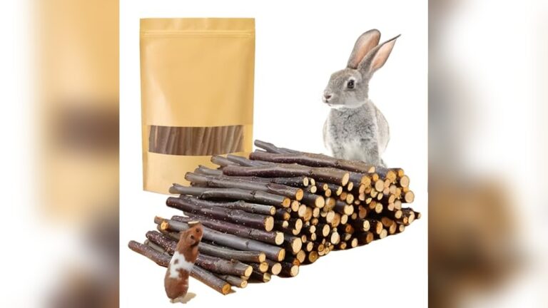 Best Chinchilla Chew Sticks (Apple Wood) for Healthy Teeth and Fun