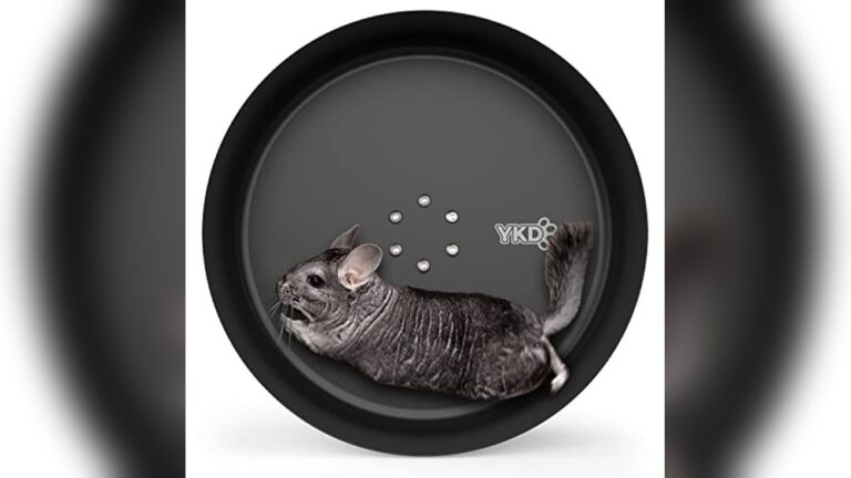 Best Chinchilla Wheel (Metal 15”+) for Silent and Durable Small Pet Exercise