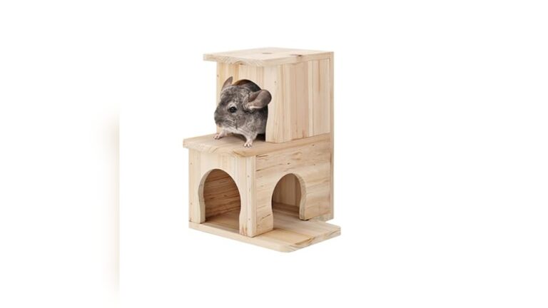 Best Chinchilla Wooden House (Chew-Safe) for Happy, Healthy Pets