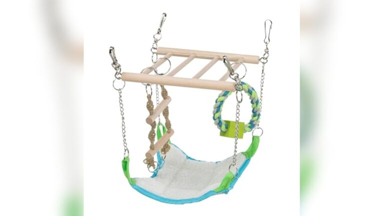 Best Climbing Toys for Mice to Boost Activity and Fun