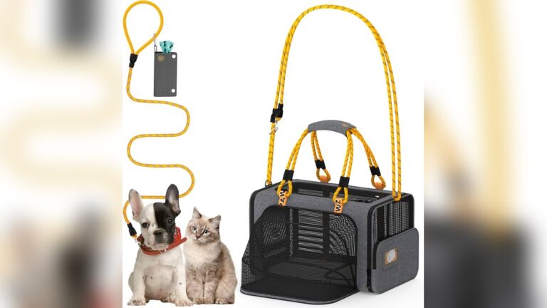 Best Collapsible Carrier for Small Cats: Top Picks for Comfort & Travel
