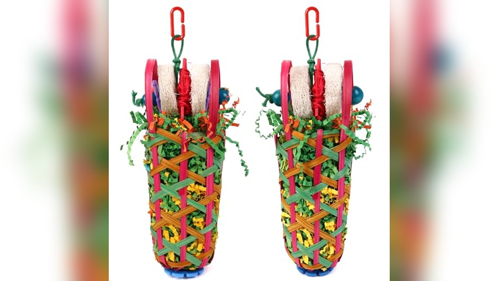 Best Conure Toys for Chewers: Durable, Fun, and Engaging Picks