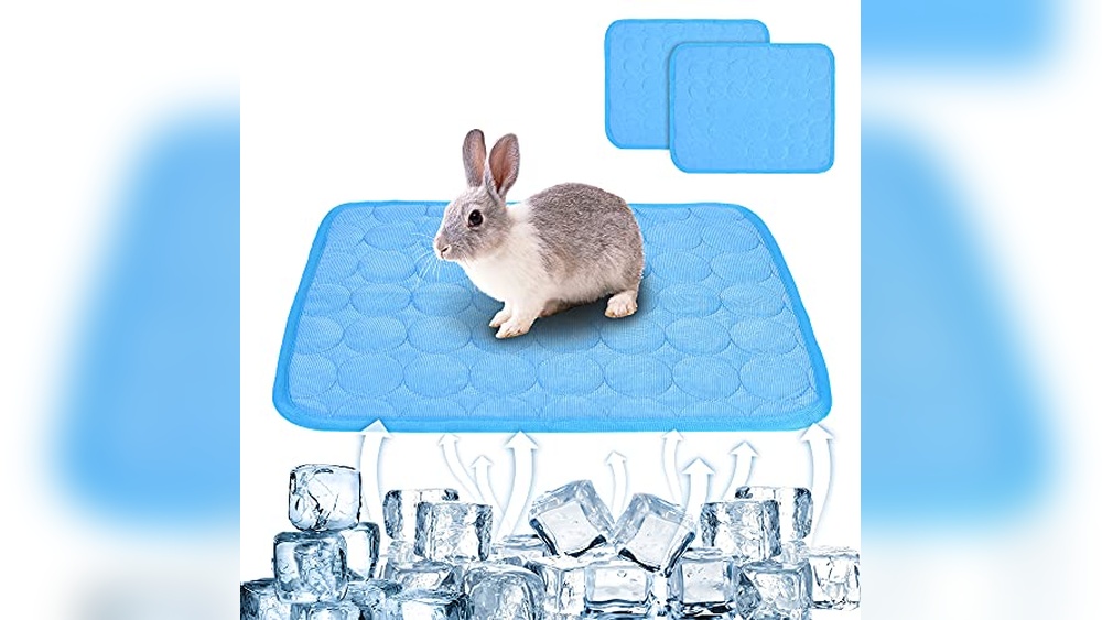 Best Cooling Mat for Rabbits to Keep Your Bunny Comfortable and Cool ...