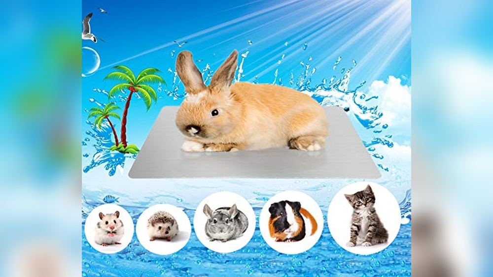 Best Cooling Pad for Rabbits (Summer) to Keep Your Bunny Comfortable