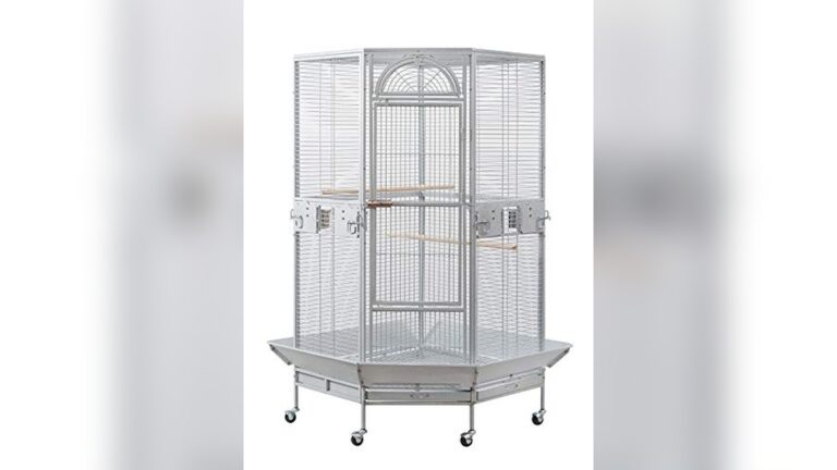 Best Corner Bird Cage for Apartments: Flyline Stylish & Space-Saving Design
