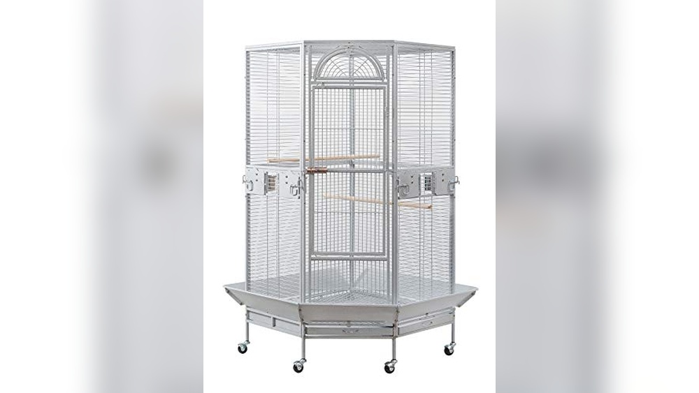 Image showcasing Best Corner Bird Cage for Apartments: Flyline Stylish & Space-Saving ...