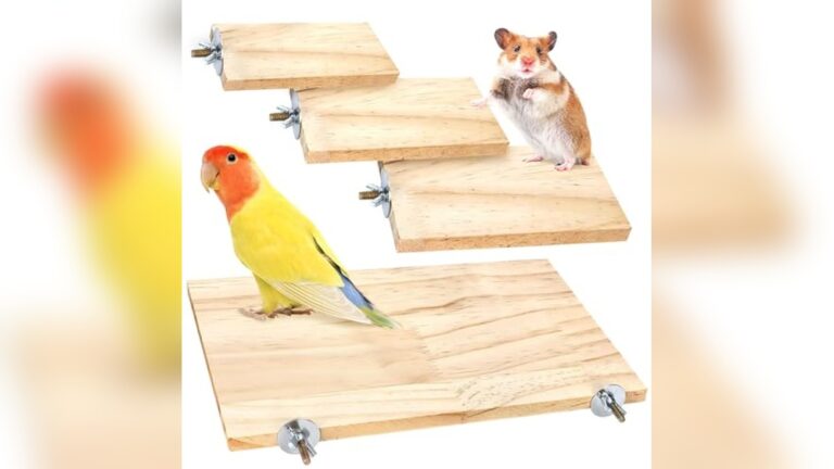 Best Corner Shelf for Rats: Top Durable and Cozy Cage Platforms