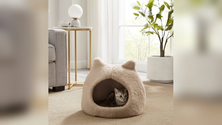Best Covered Cat Bed for Privacy: Ultimate Cozy Hideouts Revealed