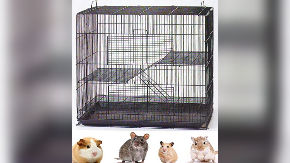 Best Degu Cage (Metal Chew-Proof) for Secure Small Pet Homes