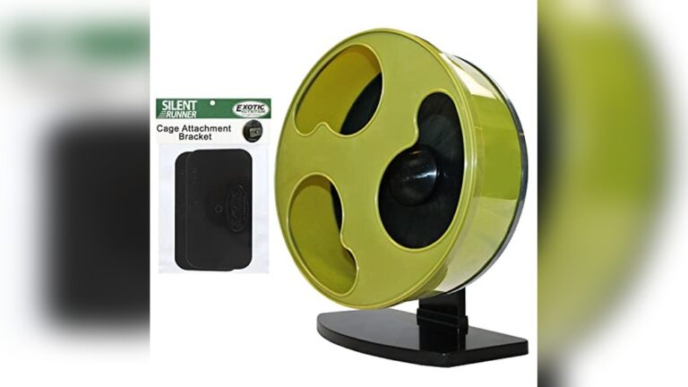 Best Degu Exercise Wheel (Solid Surface) for Quiet, Durable Playtime