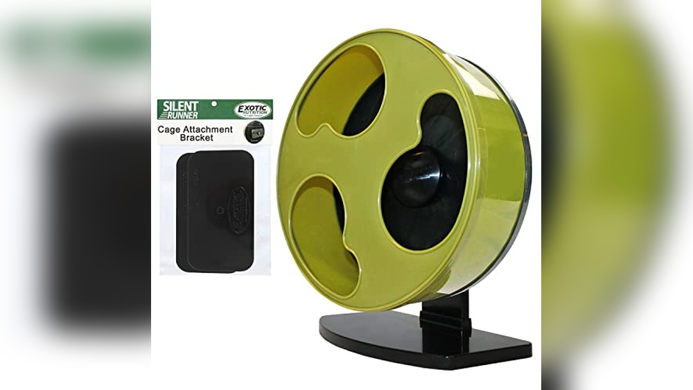 Best Degu Exercise Wheel (Solid Surface) for Quiet, Durable Playtime