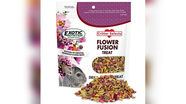 Best Degu Food Low Sugar for Healthy and Happy Small Pets