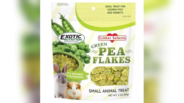 Best Degu Treats (No Molasses) for Healthy, Happy Small Pets
