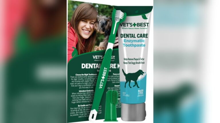 Best Dental Kit for Cats: Top Picks for Healthy Smiles