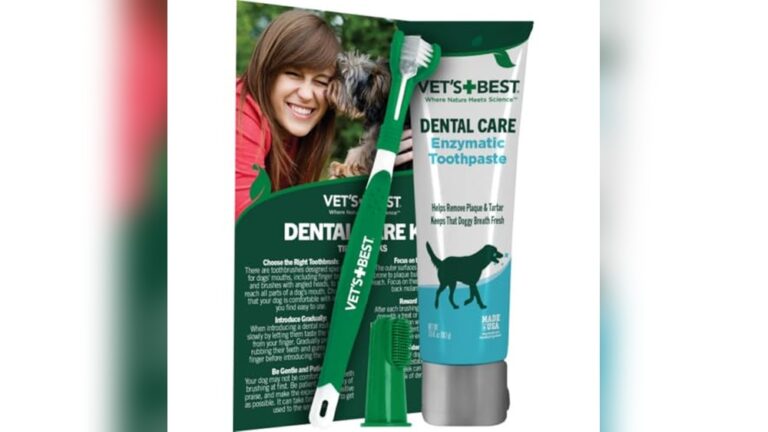 Best Dental Kit for Dogs: Top Picks for Healthy Teeth and Fresh Breath