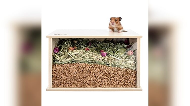 Best Dig Box for Hamsters (Substrate Mix) to Keep Pets Happy
