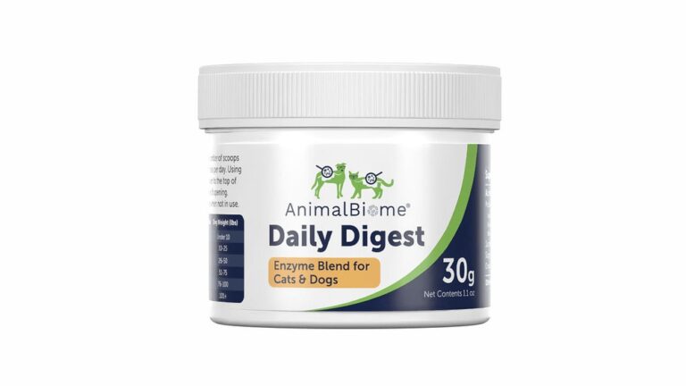Best Digestive Enzyme for Cats: Top Picks for Healthy Digestion