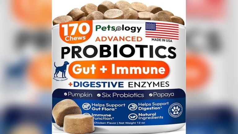 Best Digestive Enzyme for Dogs: Top Supplements for Gut Health