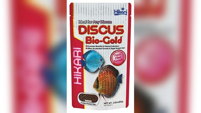 Best Discus Food for Picky Eaters: Top Nutritious Choices Reviewed