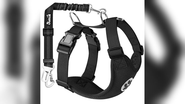 Best Dog Car Harness for Safety: Top Picks for Secure Pet Travel
