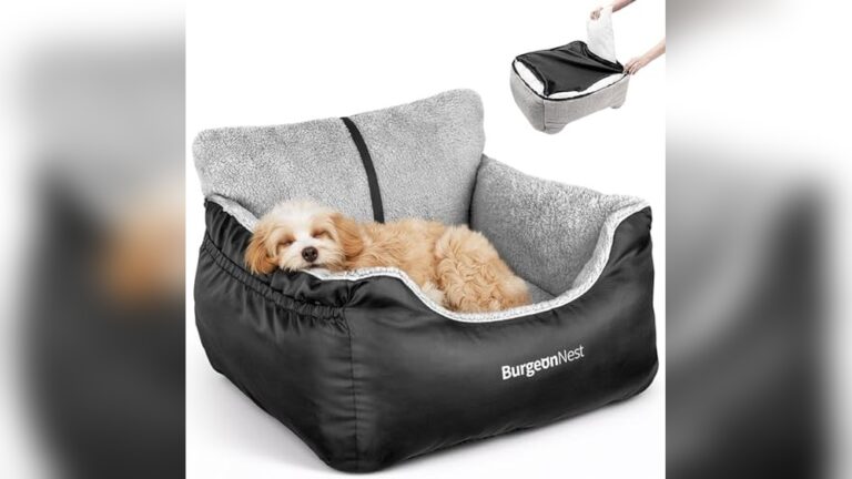 Best Dog Car Seat for Small Dogs: Top Comfortable Travel Boosters