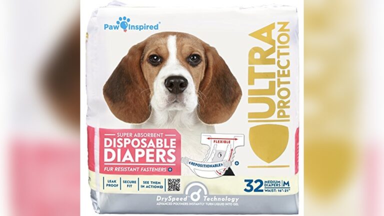 Best Dog Diaper for Incontinence: Top Picks for Ultimate Leak Protection